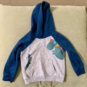 Dinosaur Hoodie and Pants Set